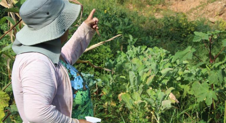Agricultores concluem formação em agroecologia e construção social de mercados