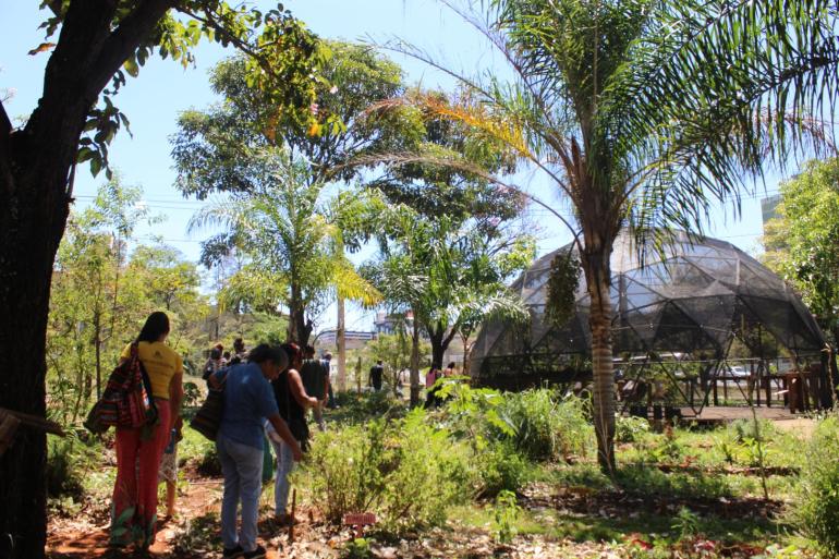 Curso Trilhas da Agroecologia tem inscrições abertas nesta quinta-feira (18)