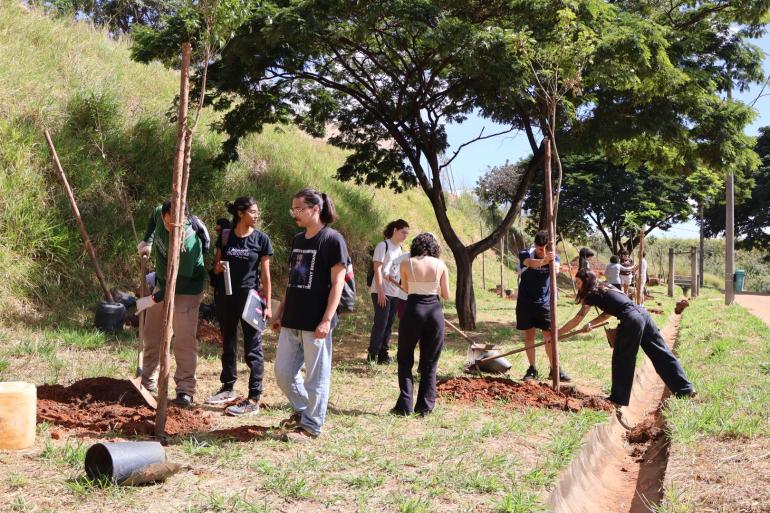 Parceria amplia produção de árvores como ipês e pitangueiras destinadas a áreas públicas de BH
