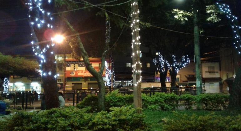 Quatro árvores da Praça Nilo Peçanha com luzes de Natal, durante a noite.