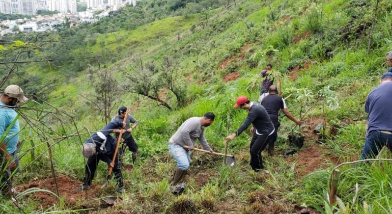 Cinco homens capinando o chão para plantar mudas, durante o dia.