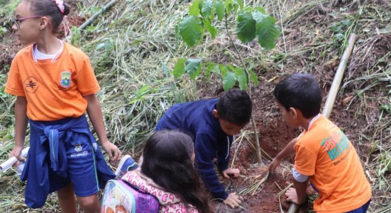 O reflorestamento da Serra do Engenho Nogueira, na Pampulha, faz parte do programa Montes Verdes, da Secretaria Municipal de Meio Ambiente. Foto: Divulgação PBH Quatro crianças de escolas municipais de Belo Horizonte plantam uma muda de árvore, durante o dia.