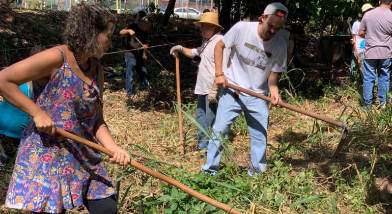 Duas pessoas, um homem e uma mulher, capinam um local com mato, durante o dia. 