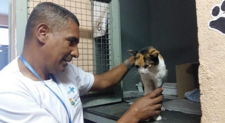 Prefeitura oferece serviço gratuito de castração de animais em cinco unidades Agente acaricia gato que recebe tratamento