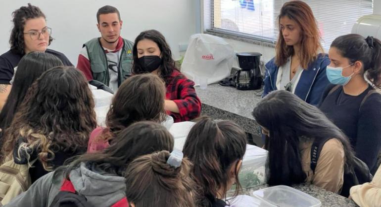 Universitários conhecem manejo ecológico de insetos feito na Biofábrica de Joaninhas Universitários conhecem manejo ecológico de insetos feito na Biofábrica de Joaninhas