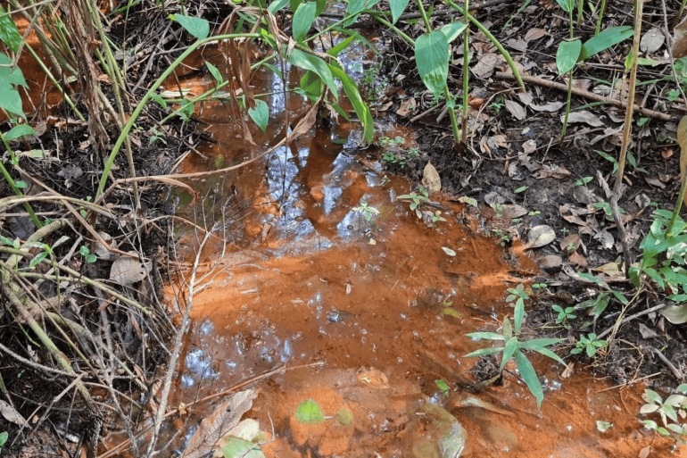 A imagem mostra um ponto de afloramento de água em área de vegetação, com solo úmido, folhas secas e pequenas plantas ao redor. A água apresenta coloração marrom-avermelhada, característica da presença de sedimentos e minerais naturais, indicando um ambiente com umidade permanente, compatível com uma nascente.