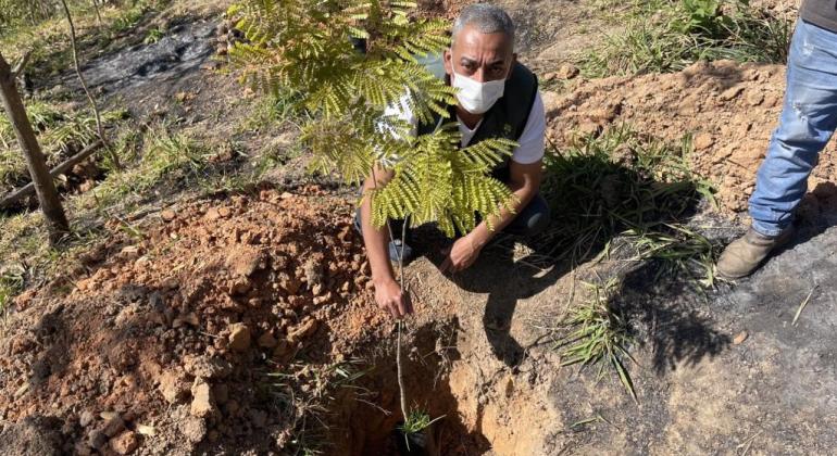 Área atingida por queimadas na Serra do Engenho Nogueira ganhará 615 novas árvores Área atingida por queimadas na Serra do Engenho Nogueira ganhará 615 novas árvores