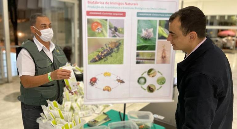 Biofábrica chega à marca de 110 mil joaninhas distribuídas em Belo Horizonte Biofábrica chega à marca de 110 mil joaninhas distribuídas em Belo Horizonte