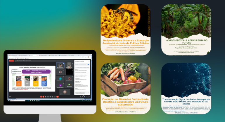 Painel e temas do Ambiente em Foco Ambiente em Foco Virtual