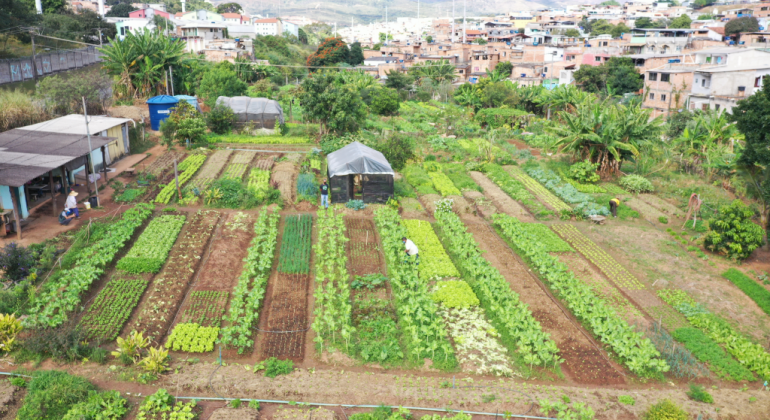 Agroflorestas Urbanas Agroflorestas Urbanas