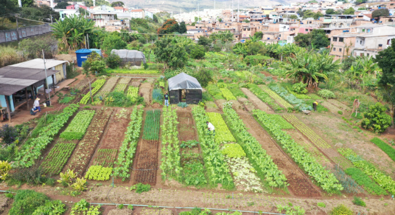 Agroflorestas Urbanas