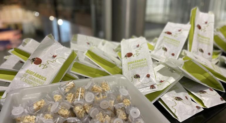 Organização mundial destaca Biofábrica da PBH como case de sucesso Organização mundial destaca Biofábrica da PBH como case de sucesso
