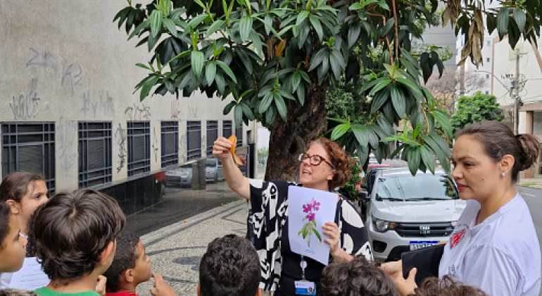 Inventário Afetivo das Árvores aproxima estudantes da natureza com o mapeamento da vegetação urbana