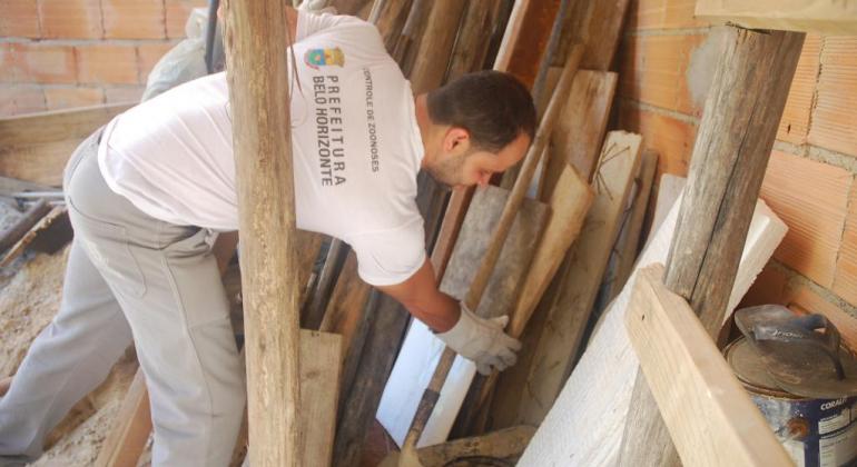 Agente de saúde verifica a presença de escorpiões em meio a pedaços de madeira, durante o dia.