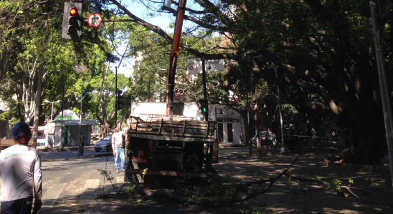 Caminhão de poda atua em árvores da avenida Bernardo Monteiro. Foto ilustrativa. 