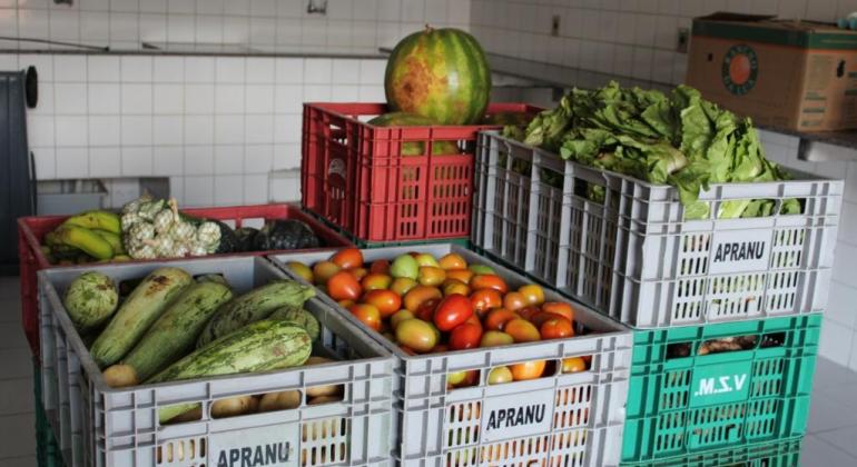 Banco de Alimentos da Prefeitura de Belo Horizonte passará por reforma Alimentos para doação no Banco de Alimentos