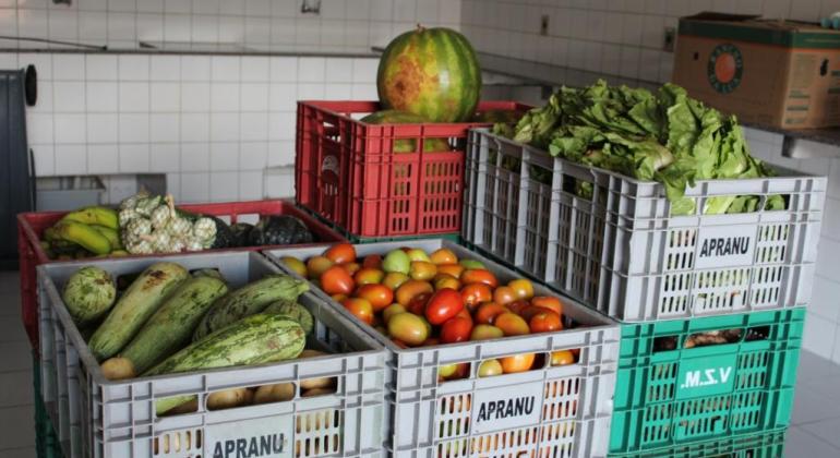 Alimentos para doação no Banco de Alimentos