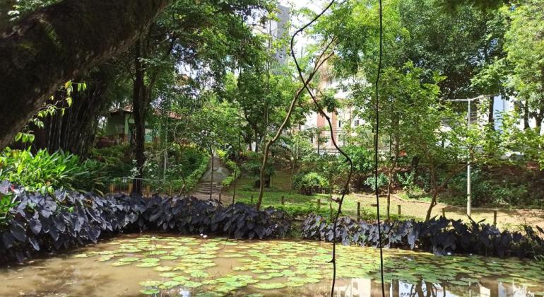 Parque no bairro Castelo terá trilha guiada neste sábado (23)