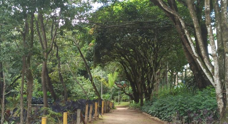 Parque Ursulina oferece trilha guiada a visitantes neste sábado (14)