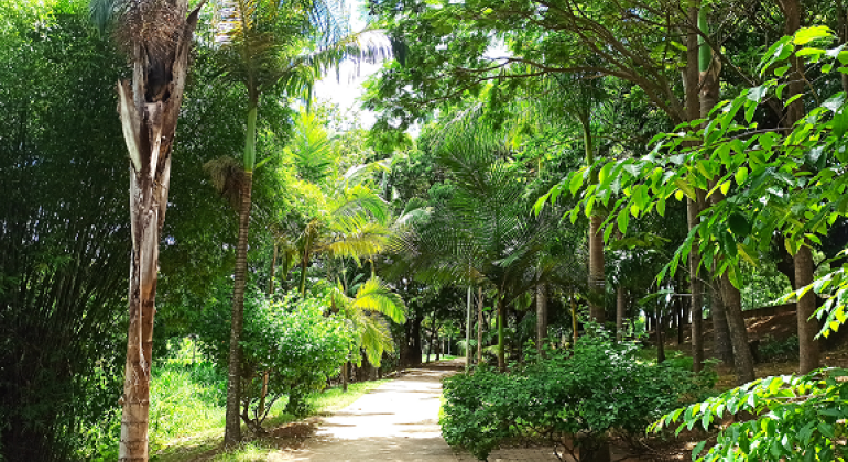 Parque na Região Norte recebe projeto de Educação Ambiental