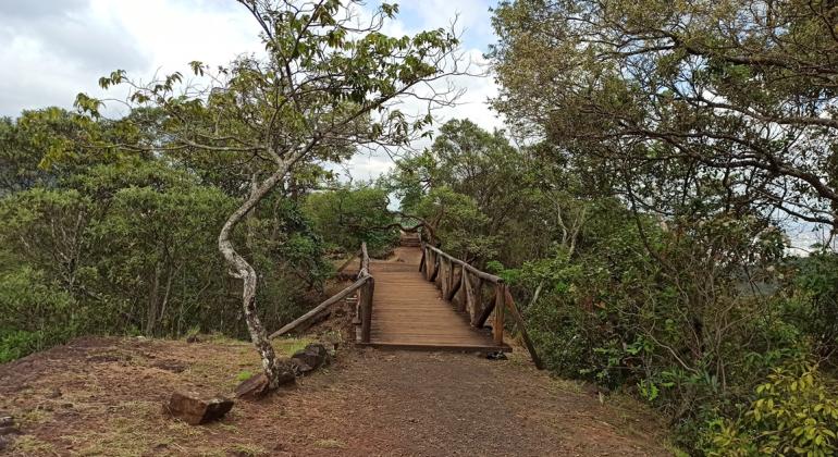 Trilha apresenta o bioma do Cerrado no Parque das Mangabeiras