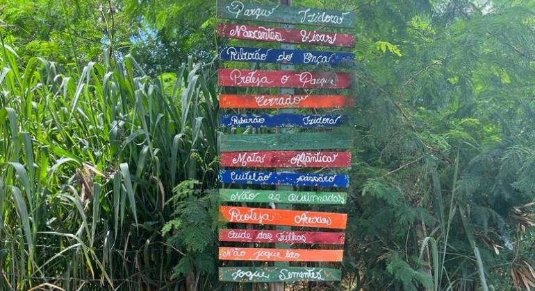 Prefeitura planeja ações de proteção ambiental na região do Izidora Placas indicam a nascente e outros espaços da mata na região da Izidora