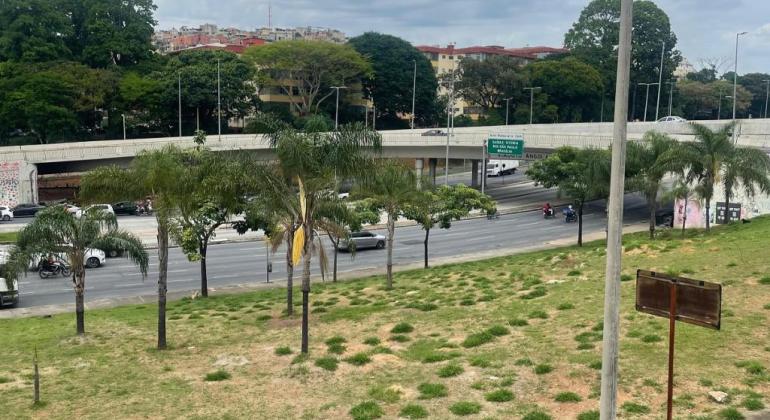 PBH conclui implantação do corredor verde da Antônio Carlos com 2.300 árvores