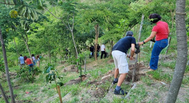 - Parceria entre PBH e Arquidiocese garante plantio de mudas e educação ambiental