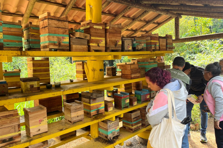 Oficina gratuita no Parque das Mangabeiras vai ensinar como fabricar iscas artificiais para captura de abelhas sem ferrão Visita técnica a meliponário, com caixas de criação de abelhas sem ferrão instaladas em estrutura de madeira, durante atividade de educação e preservação ambiental.