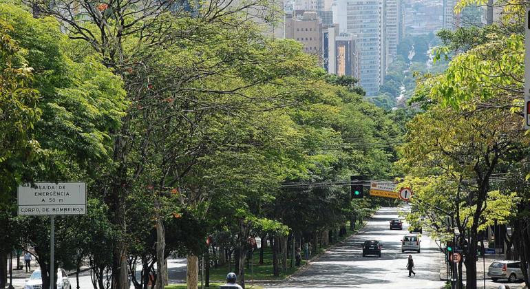 Prefeitura de Belo Horizonte cria o programa Endereço Cidadão imagem de avenida em BH