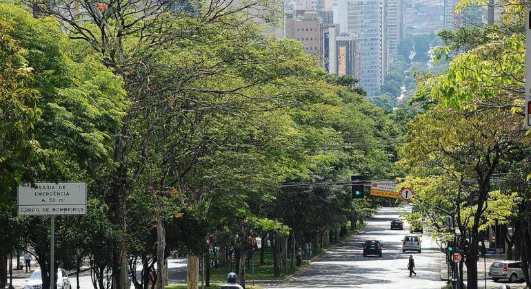 imagem de avenida em BH