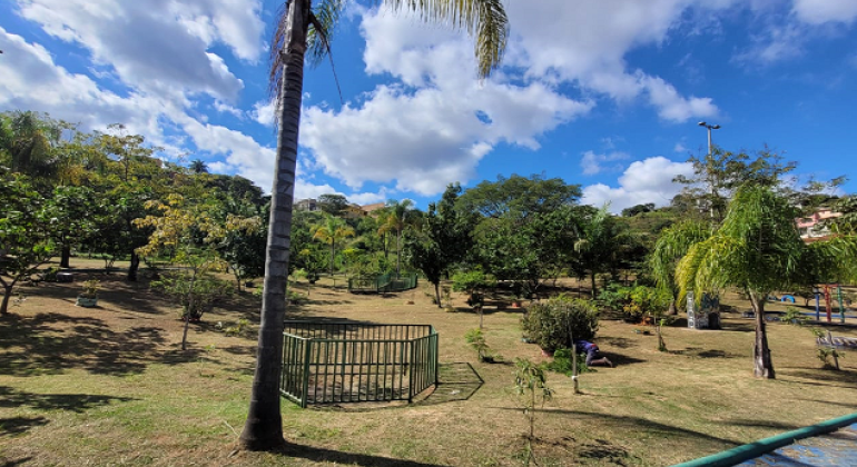 Parque no Barreiro receberá plantio com mais de 200 árvores neste sábado (9) Parque no Barreiro receberá plantio com mais de 200 árvores neste sábado (9)