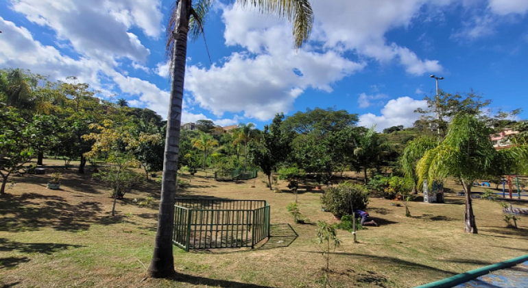 Parque no Barreiro receberá plantio com mais de 200 árvores neste sábado (9)