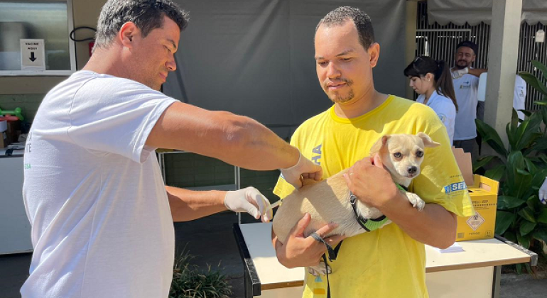 Prefeitura disponibiliza vacina contra a raiva animal durante todo o ano Prefeitura disponibiliza vacina contra a raiva animal durante todo o ano