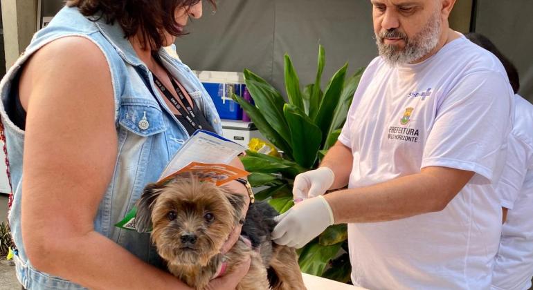 Prefeitura de BH promove vacinação de cães e gatos contra a raiva neste sábado (23)