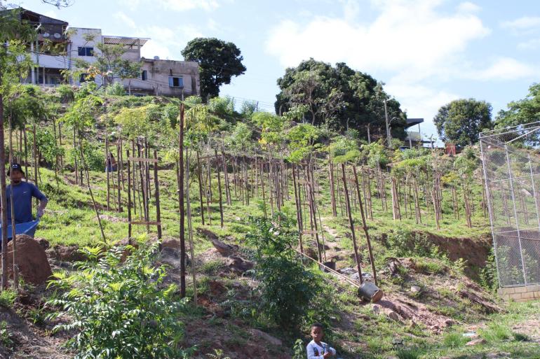 Comunidade do Granja de Freitas e Taquaril participa de ação de educação ambiental do Programa Renascente Comunidade do Granja de Freitas e Taquaril participa de ação de educação ambiental do Programa Renascente