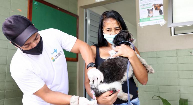 Prefeitura mantém postos extras para Vacinação contra a raiva Cachorro sendo vacinado contra a raiva