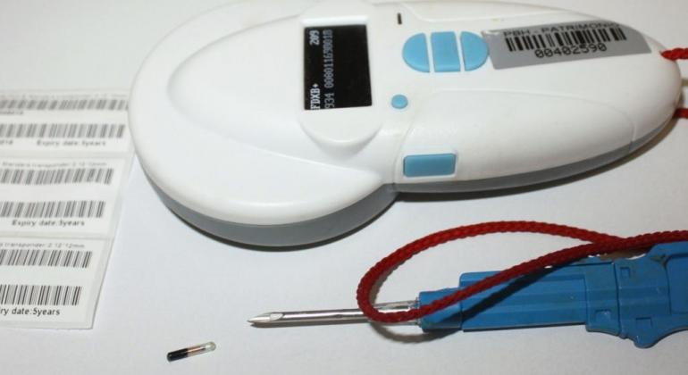 Microchipagem resguarda a segurança e a saúde dos animais. Foto: Divulgação/PBH Microchip e equipamentos de implante e leitura
