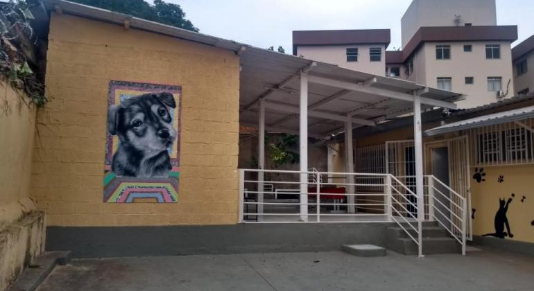 Centro de Esterilização de Cães e Gatos, com grafite de cão simpático na fachada, durante o dia. 