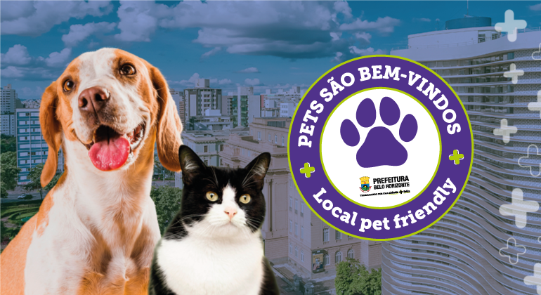 Decreto da PBH permite que animais de estimação frequentem estabelecimentos 