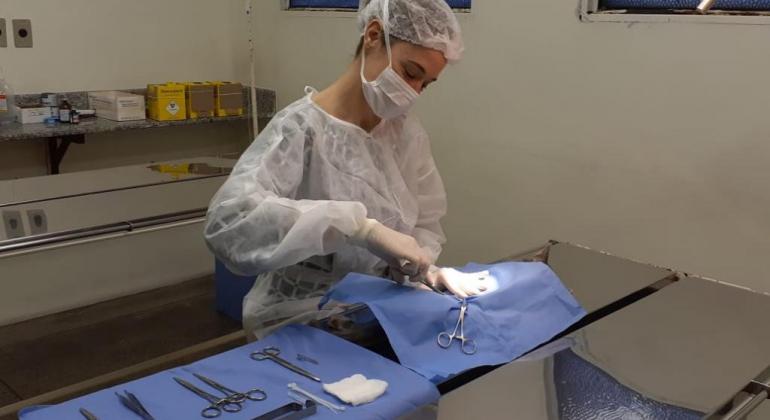 Prefeitura implanta agendamento on-line para cirurgia de castração animal Prefeitura implanta agendamento on-line para cirurgia de castração animal
