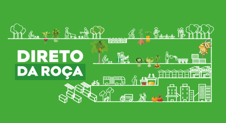 Imagem gráfica com fundo na cor verde com destaque para o texto Direto da Roça. Há elementos naturais, como joaninhas, bananeira, alecrim, além de elementos da cidade: ruas, caminhões e barraca.