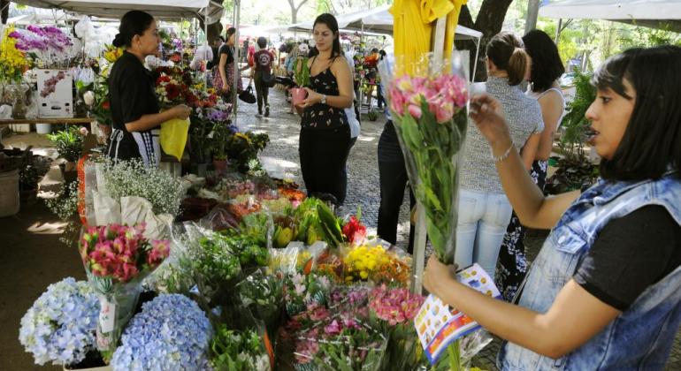 Mulher jovem escolhe flores em meio a mesa com várias opções, ao fundo, outros cidadãos também vêem flores, em local aberto, durante o dia.