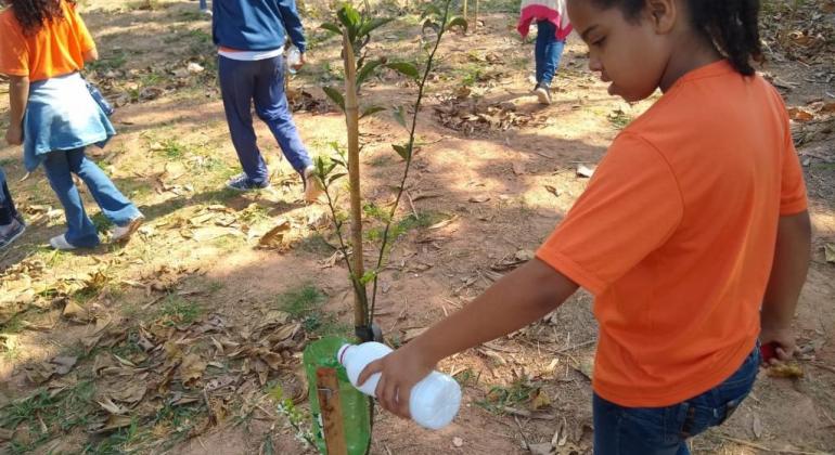 Criança molha planta em terreno cultivado pela população