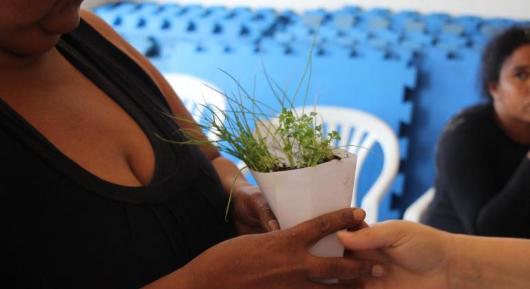 Mão feminina recebe muda de planta. 