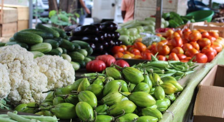 Imagem de verduras, como jiló e pepino