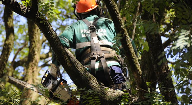Homem, com capacete e equipamento de segurança e motossera, sentado em cima de uma árvore, de costas, durante o dia. 