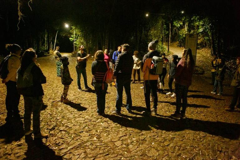 Nova edição da Trilha Noturna vai abordar os hábitos dos anfíbios do Parque das Mangabeiras Um grupo de pessoas está reunido à noite em um caminho de paralelepípedos na mata.