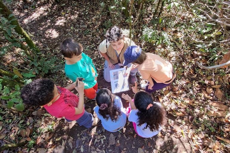 Trilhas guiadas em dois parques de Belo Horizonte destacam plantas medicinais, florestas e água 