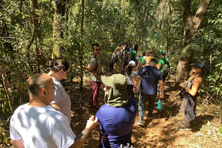 Inscrições abertas para trilhas guiadas nos parques Professor Marcos Mazzoni e Jacques Cousteau Grupo de pessoas participa de trilha guiada em área de mata, cercada por vegetação.